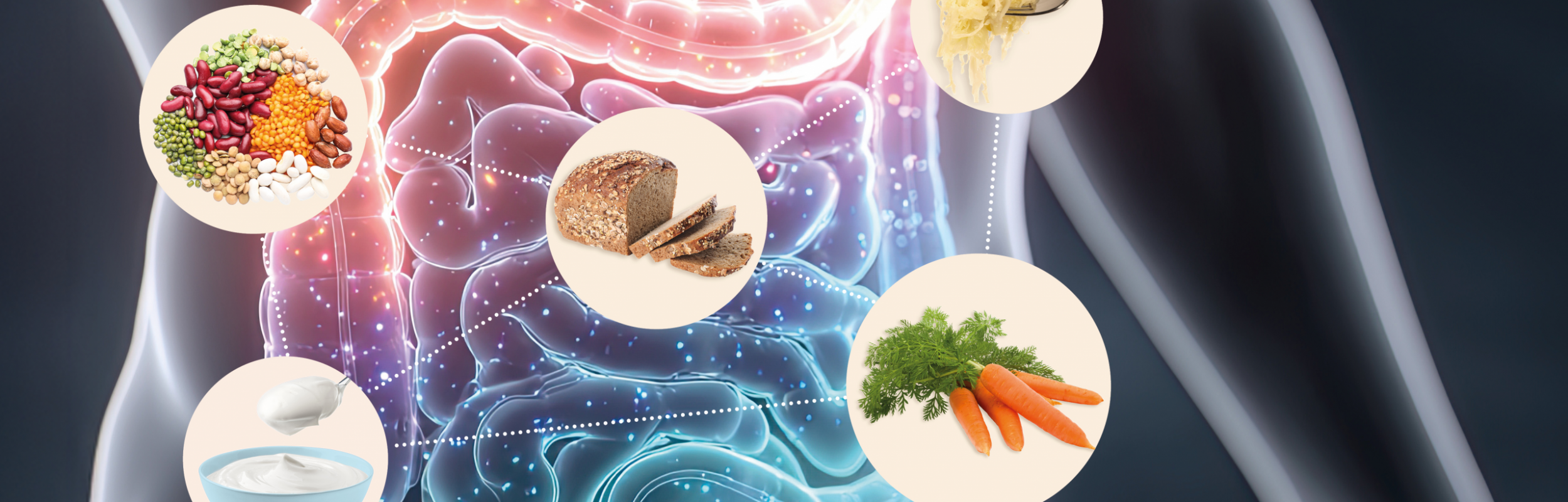 ernaehrung-und-mikrobiom-16t9 ernaehrung-und-mikrobiom-16t9